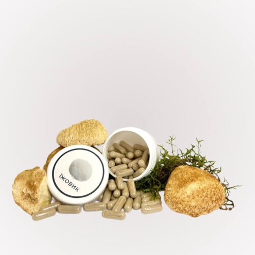 купити Їжовик гребінчастий в капсулах