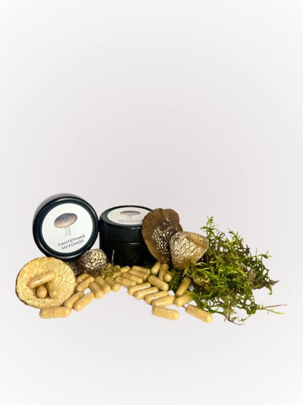Купити пантерний мухомор в капсулах