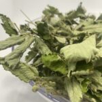 Чай з листя суниці (земляніка)