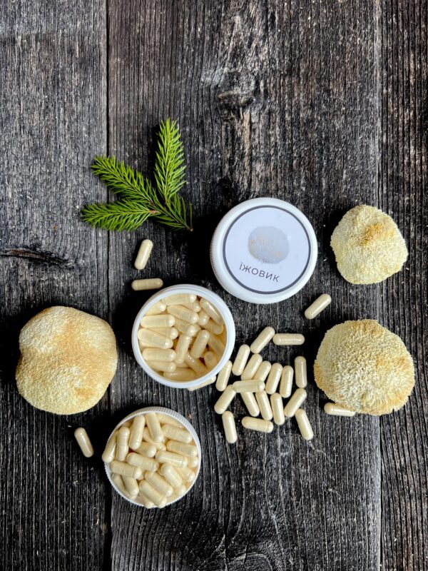 Натуральні капсули їжовика гребінчастого біля цілого гриба, мінімалістичне фото