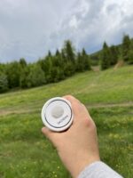 Їжовик гребінчастий покращує мозок