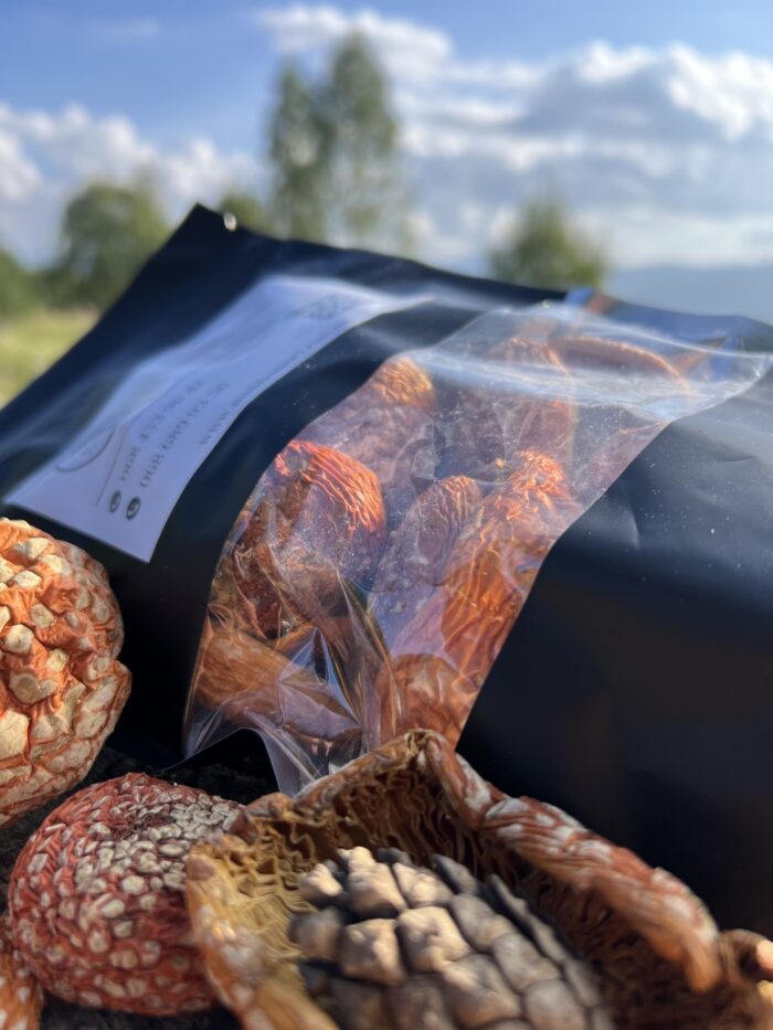 сухі грибички червоний мухомор