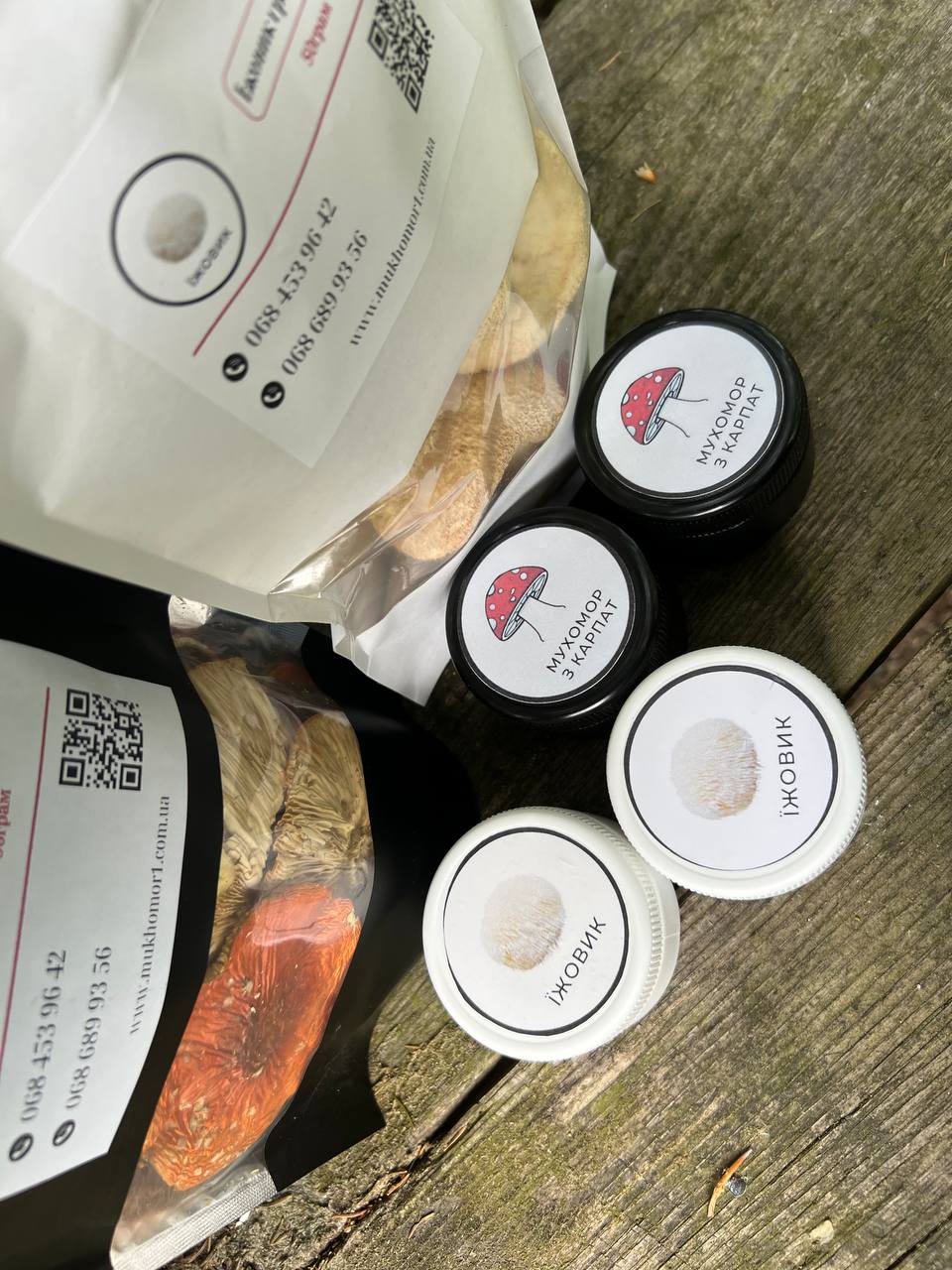 Мікродозинг із червоним мухомором — гриб для сну та антистресу