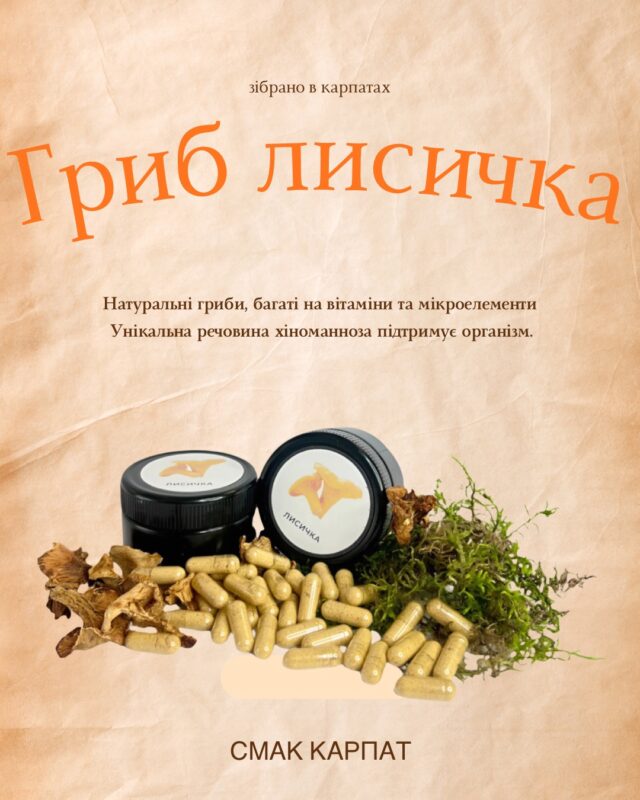 гриби лисичка